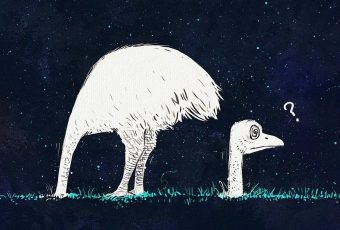 Struisvogel in verwarring